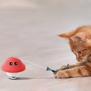 Why Your Cat Deserves the Retractable Cat Wand Suction Cup Teaser Toy