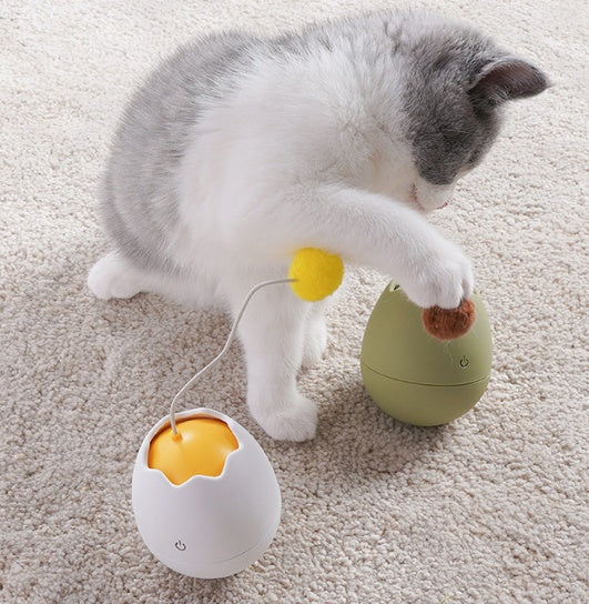 Why Your Cat Deserves the Funny Cat Artifact Cat Toys