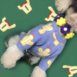 Why Your Pet Deserves the Pet Cactus Sweater