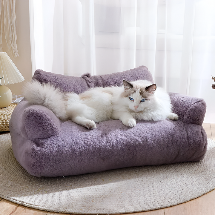 Comfortable Beds for Restful Pets