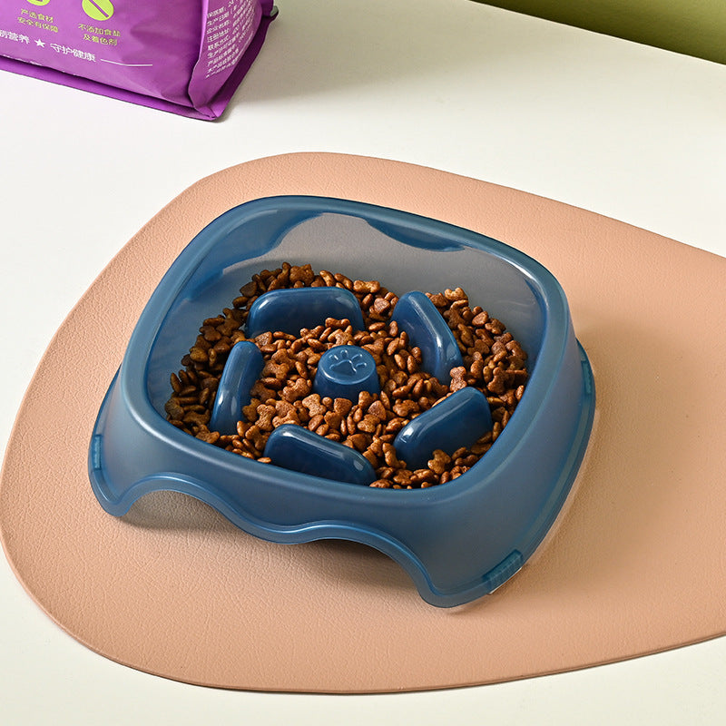Slow Feed Anti Choke Dog Water and Food Bowl