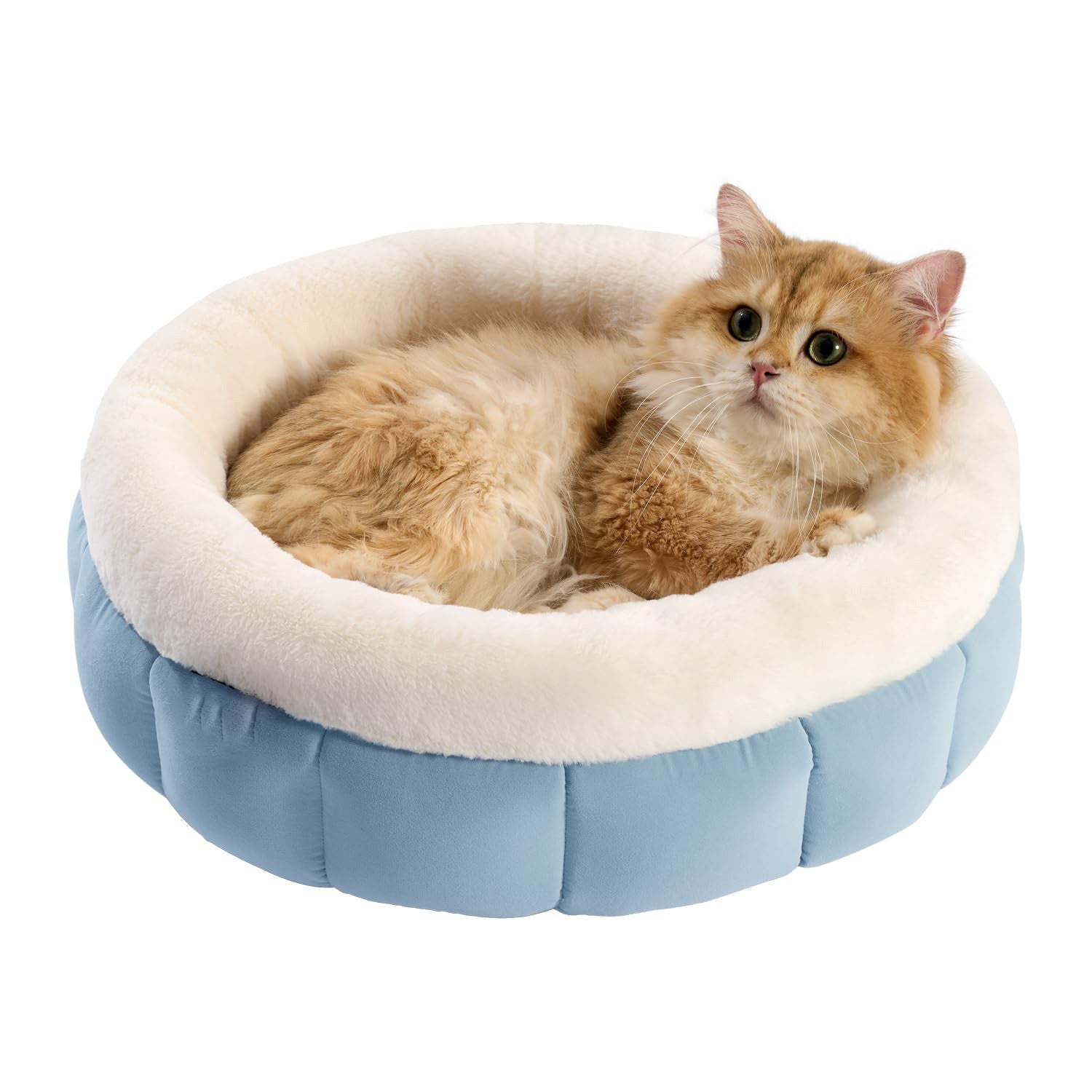 Donut Dog and Cat Bed Small Washable Anti-Slip