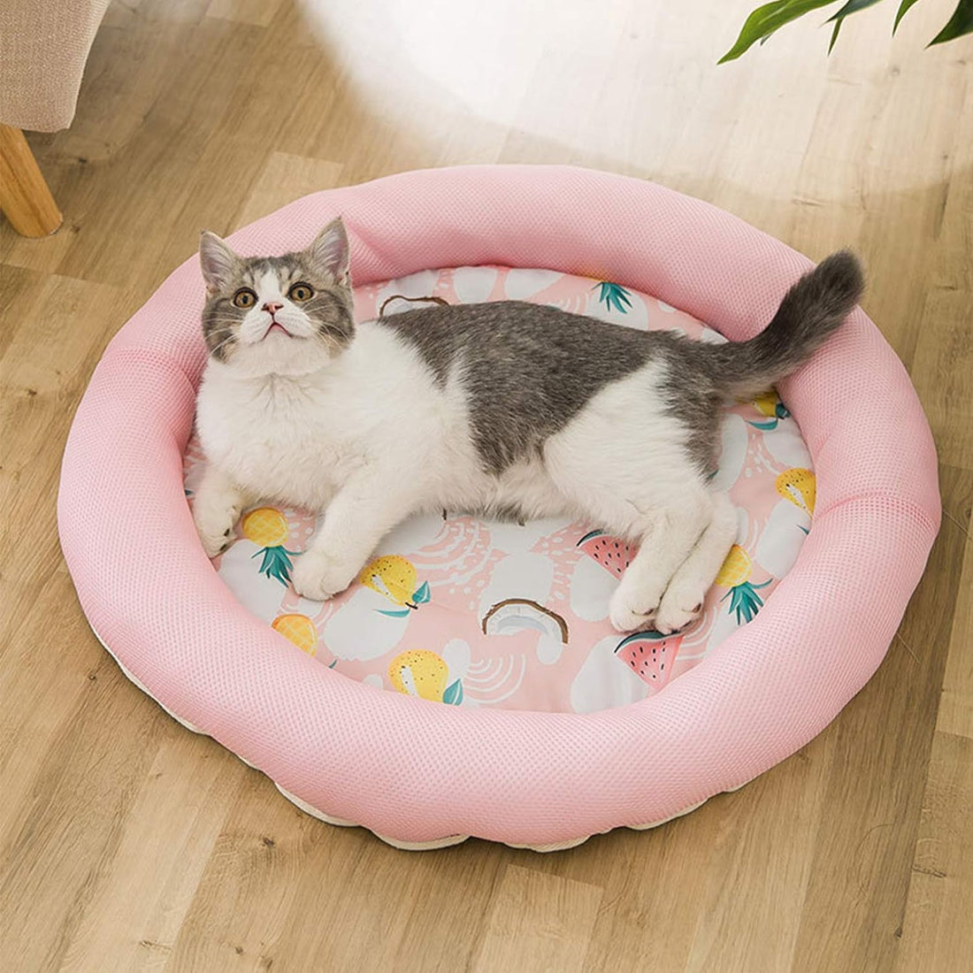 Cooling Summer Dog Bed Soft Breathable Waterproof Mat