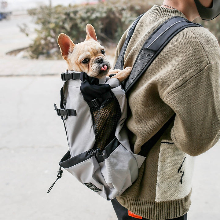 Double Shoulder Dog and Cat Travel Backpack Carrier