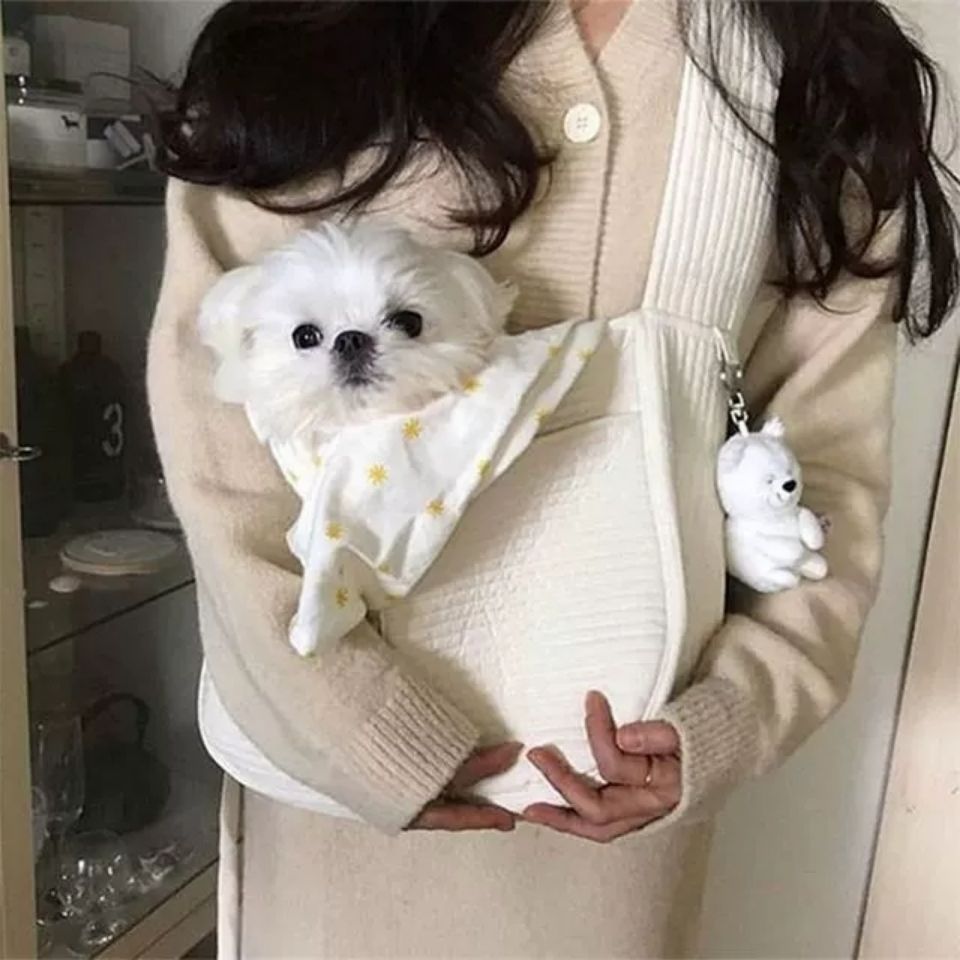 Handmade Canvas Pet Carrier Bag for Cats and Dogs