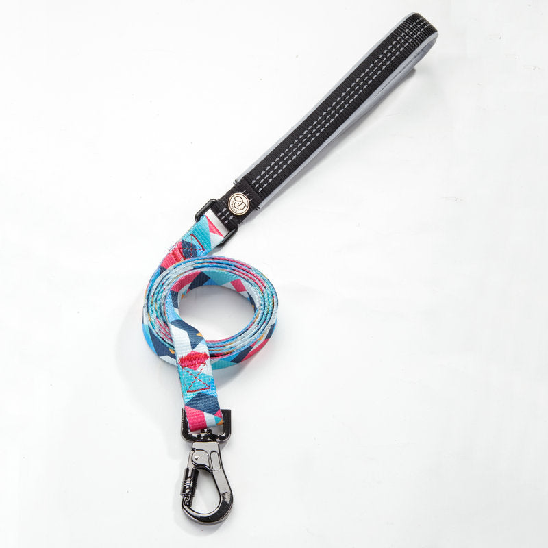 Pet Dog Leash
