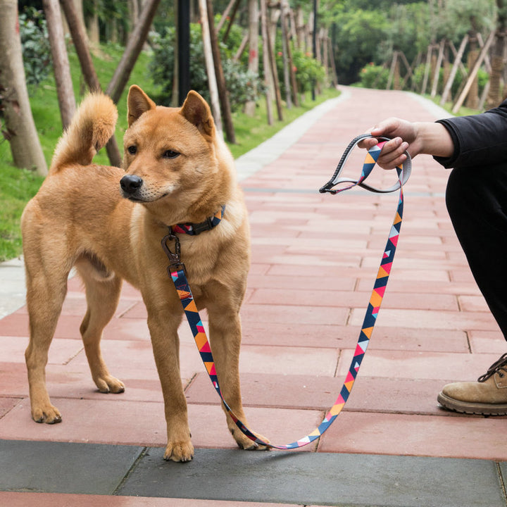Pet Dog Leash