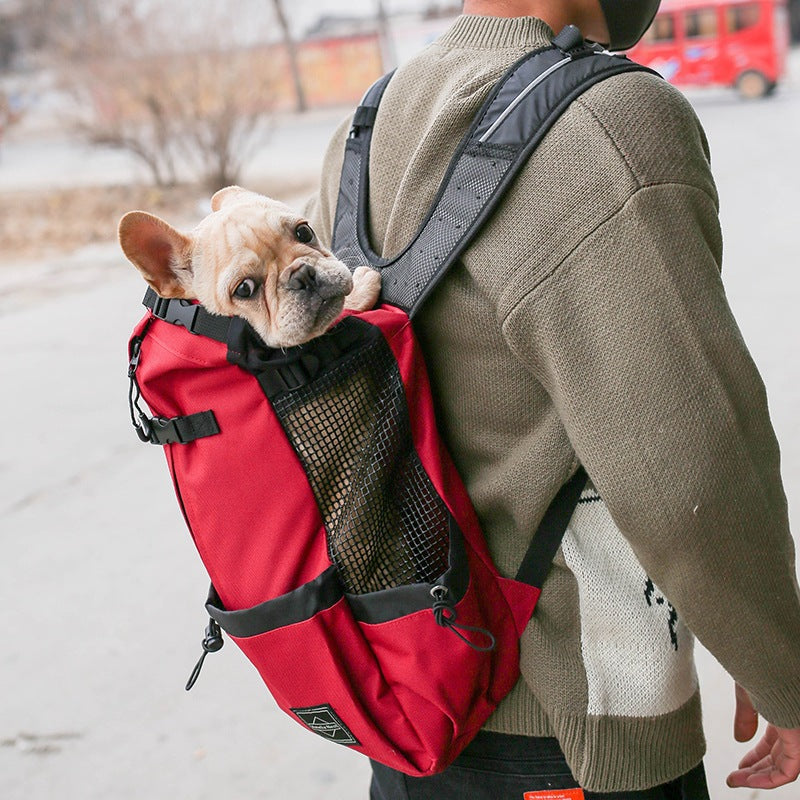 Double Shoulder Dog and Cat Travel Backpack Carrier