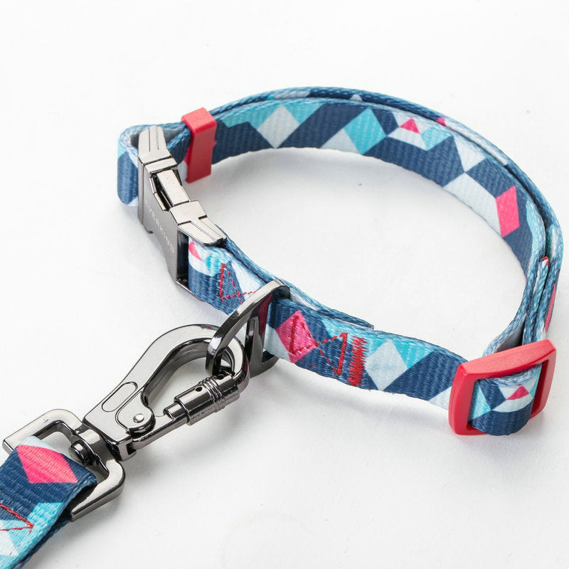 Pet Dog Leash