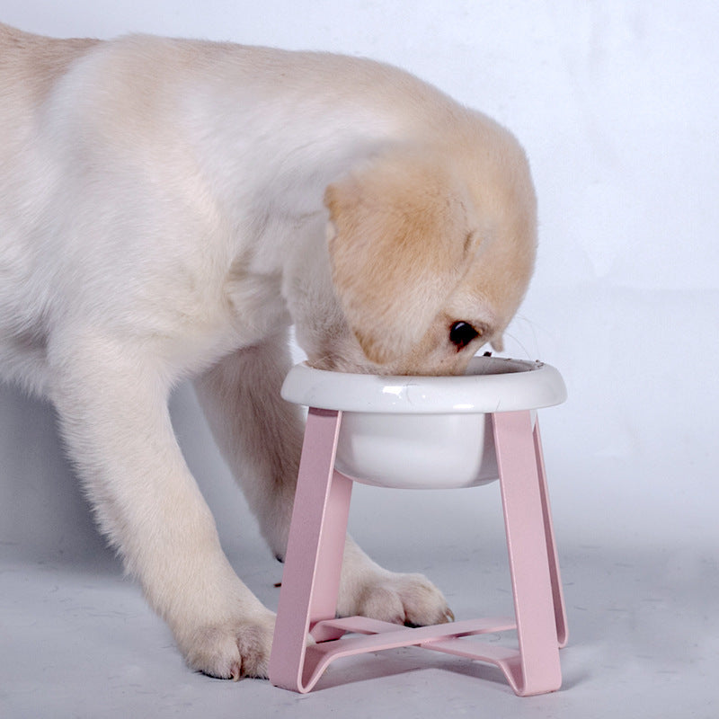 Creative Cat Bowl With Iron Stand 2-in-1 Feeder