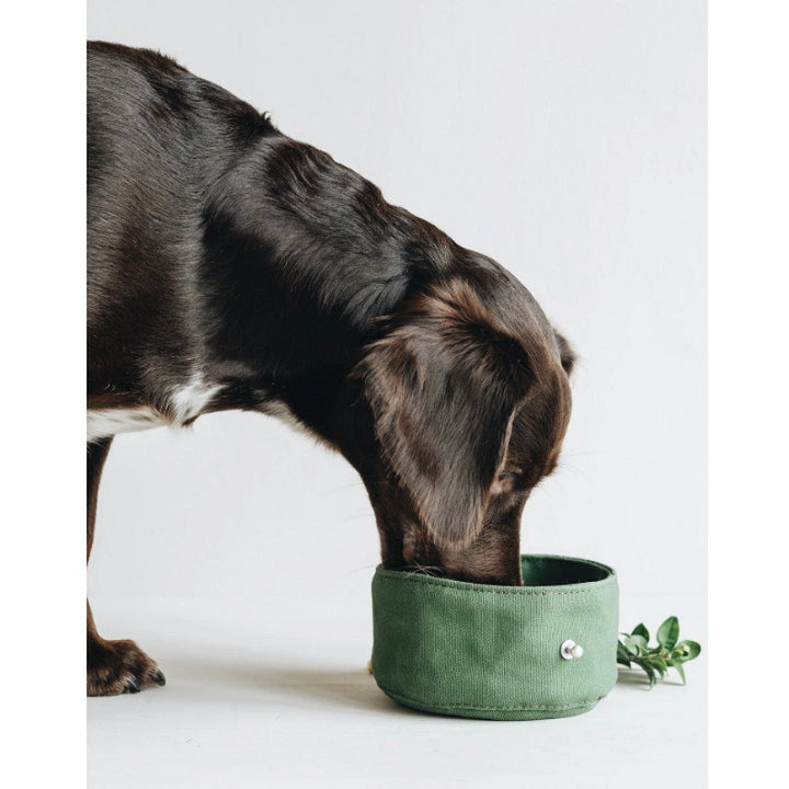 Folding Canvas Dog Bowl Portable Water Feeding Bowl
