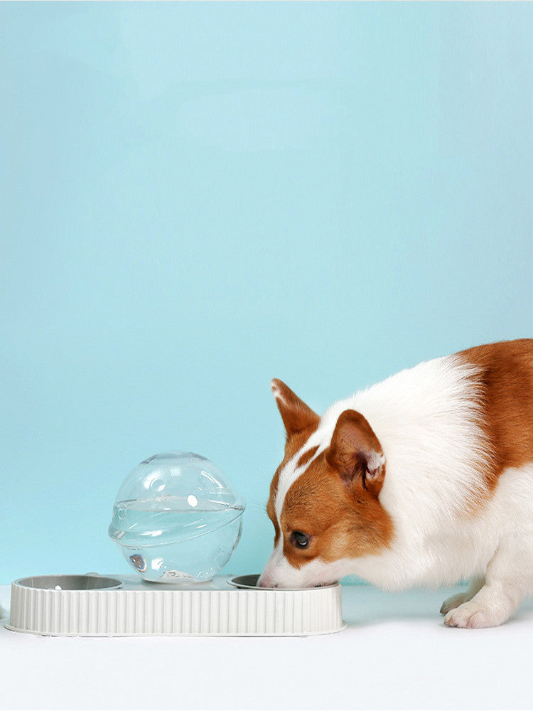 Automatic Plastic Pet Water and Food Feeder Bowl