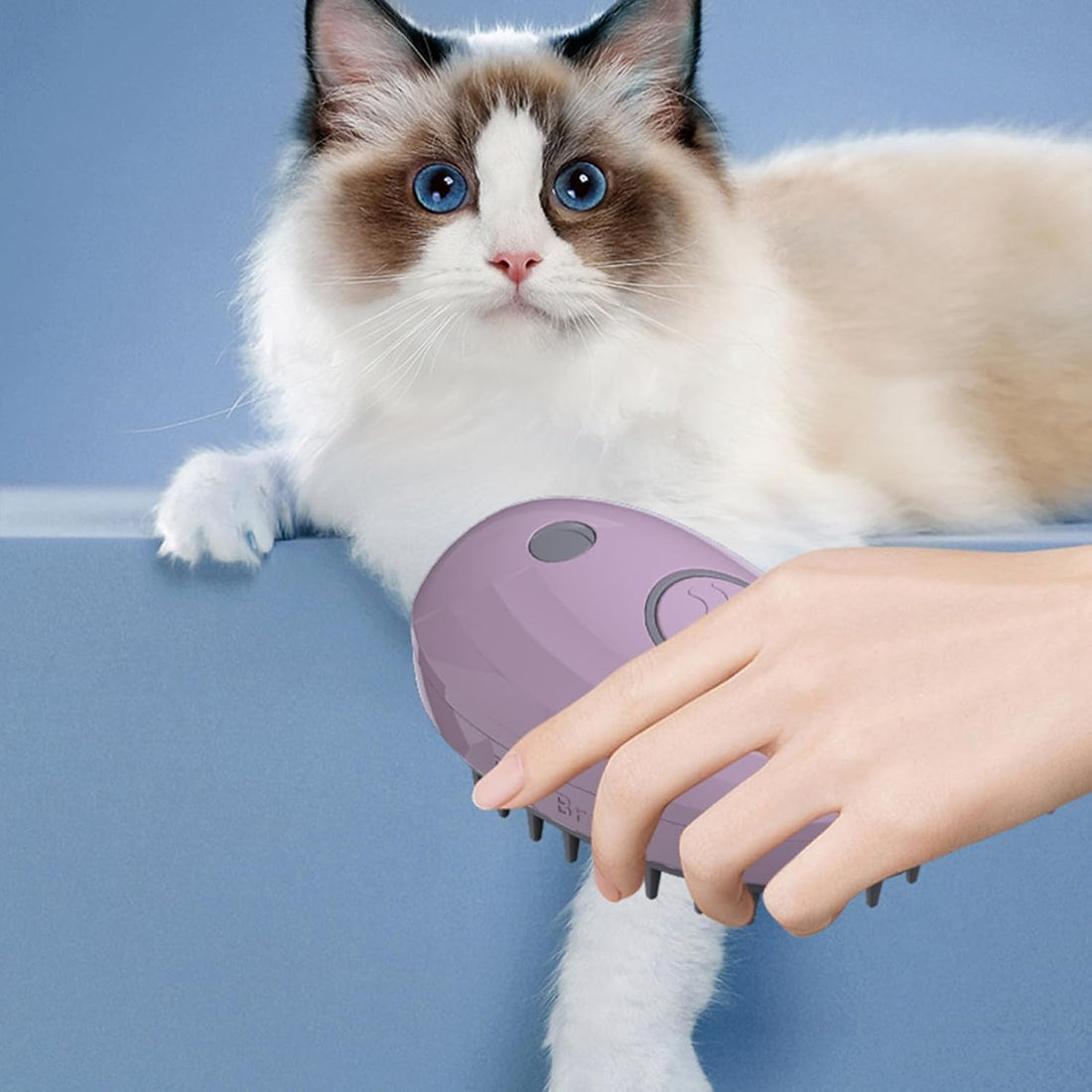 3-in-1 Whale-Shaped Steam Brush for Cats and Dogs