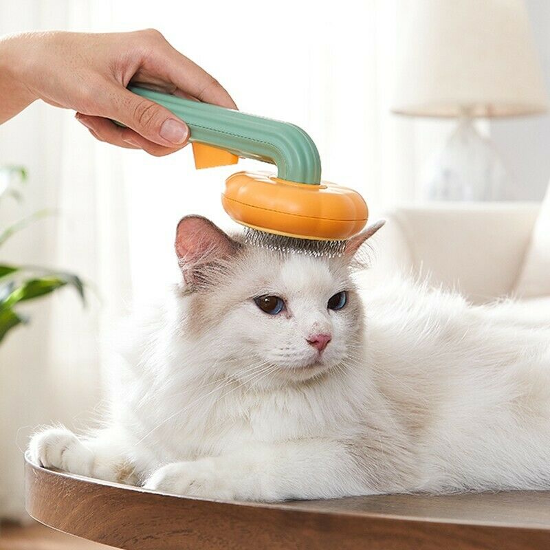 Self-Cleaning Pumpkin Slicker Brush for Cats and Dogs