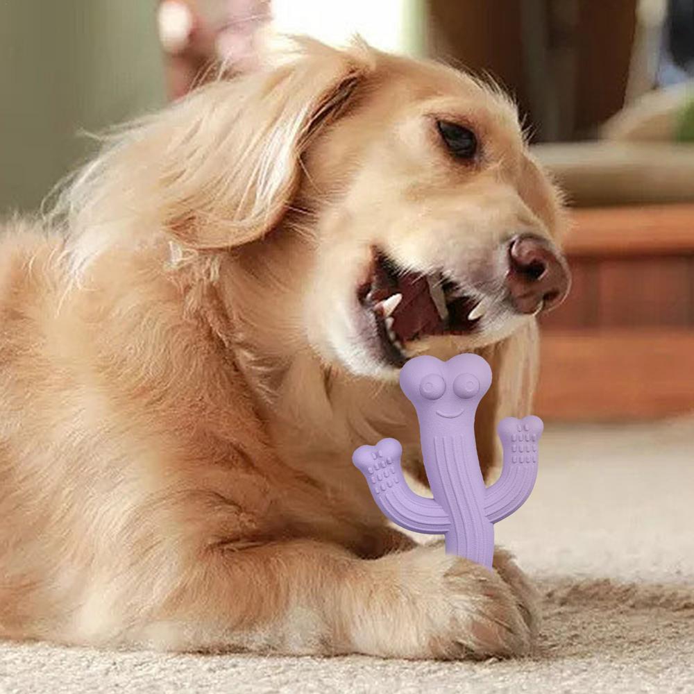Cactus Chew Toy Durable Interactive Dog Toy