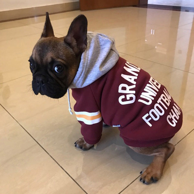 Pet Sweater