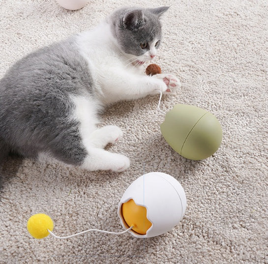 Funny Cat Artifact Cat Toys