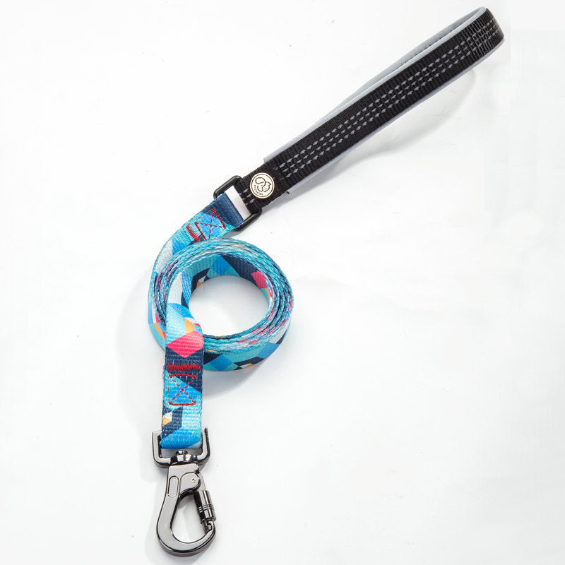 Pet Dog Leash