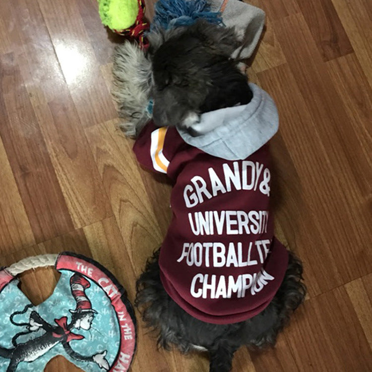 Pet Sweater