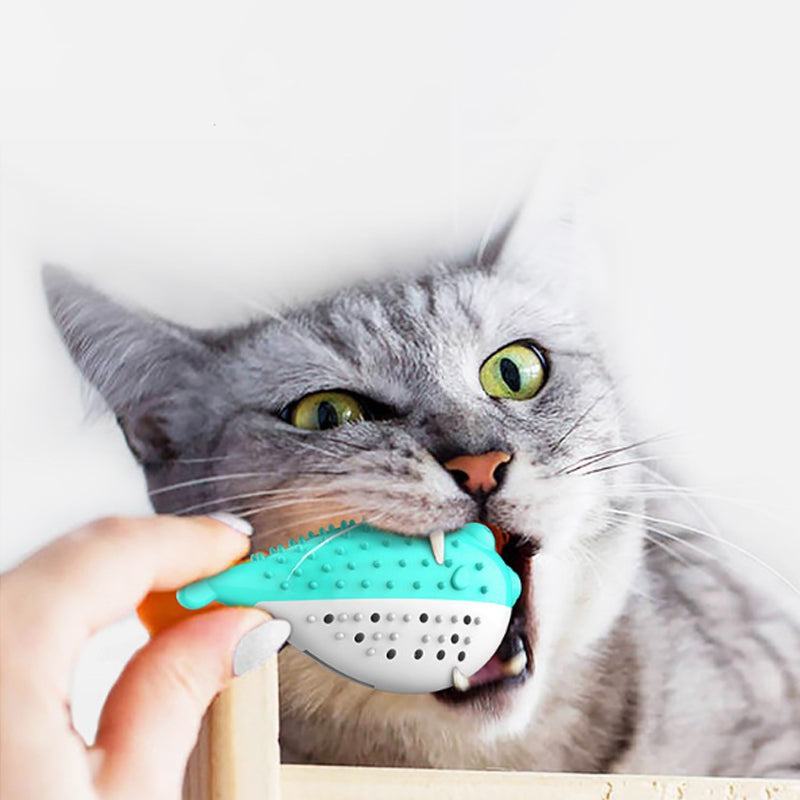 Mint Silicone Cat Chew and Teaser Toy