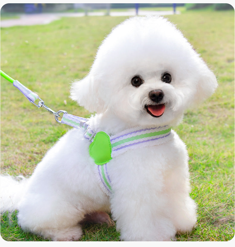 Breathable Summer Dog Leash with Chest Vest Small Medium