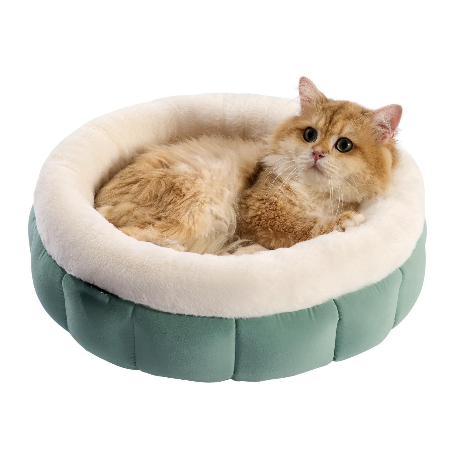 Donut Dog and Cat Bed Small Washable Anti-Slip