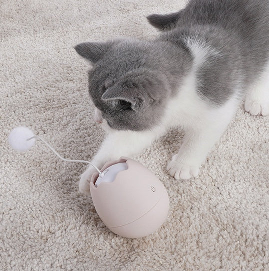 Funny Cat Artifact Cat Toys