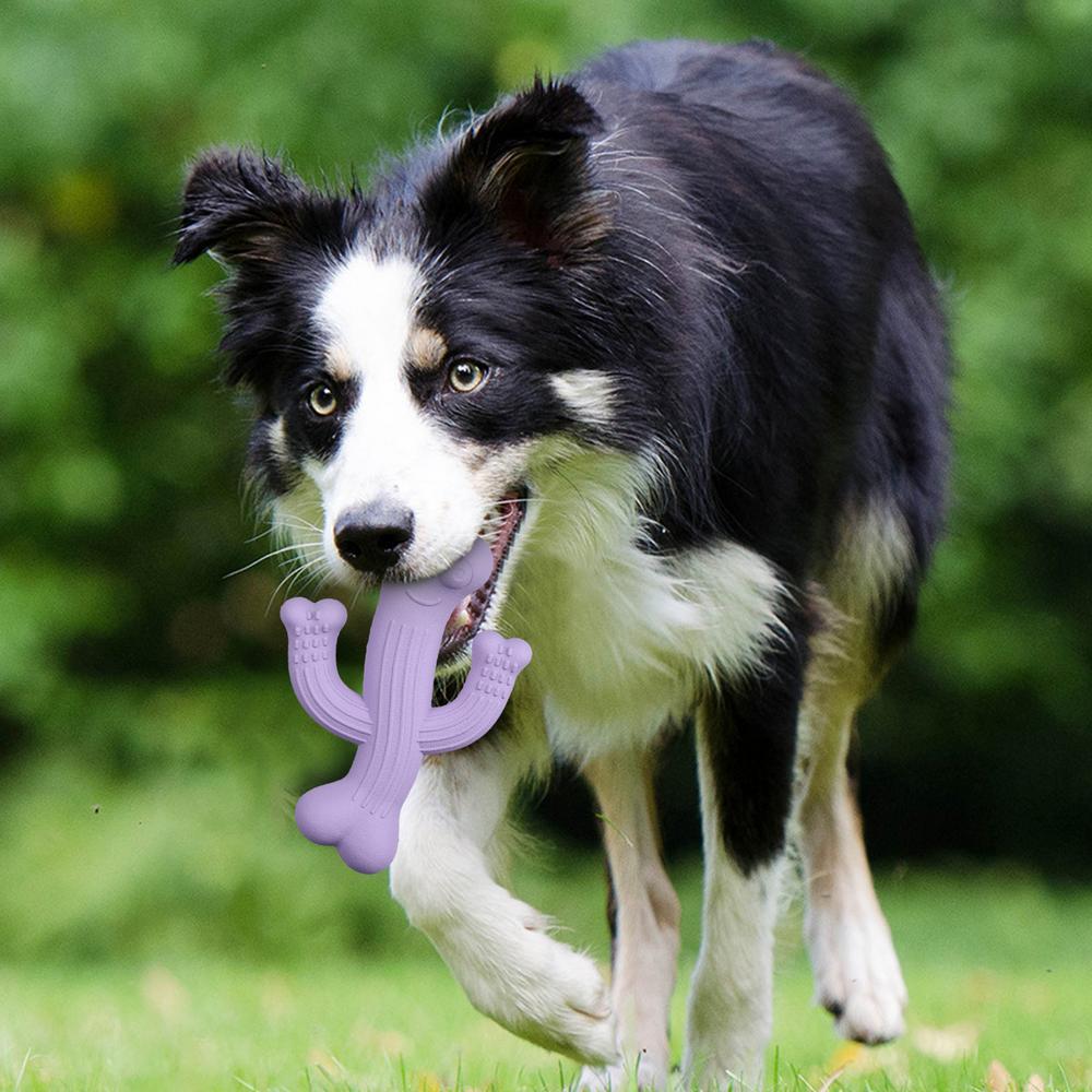 Cactus Chew Toy Durable Interactive Dog Toy