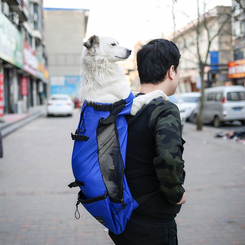 Double Shoulder Dog and Cat Travel Backpack Carrier
