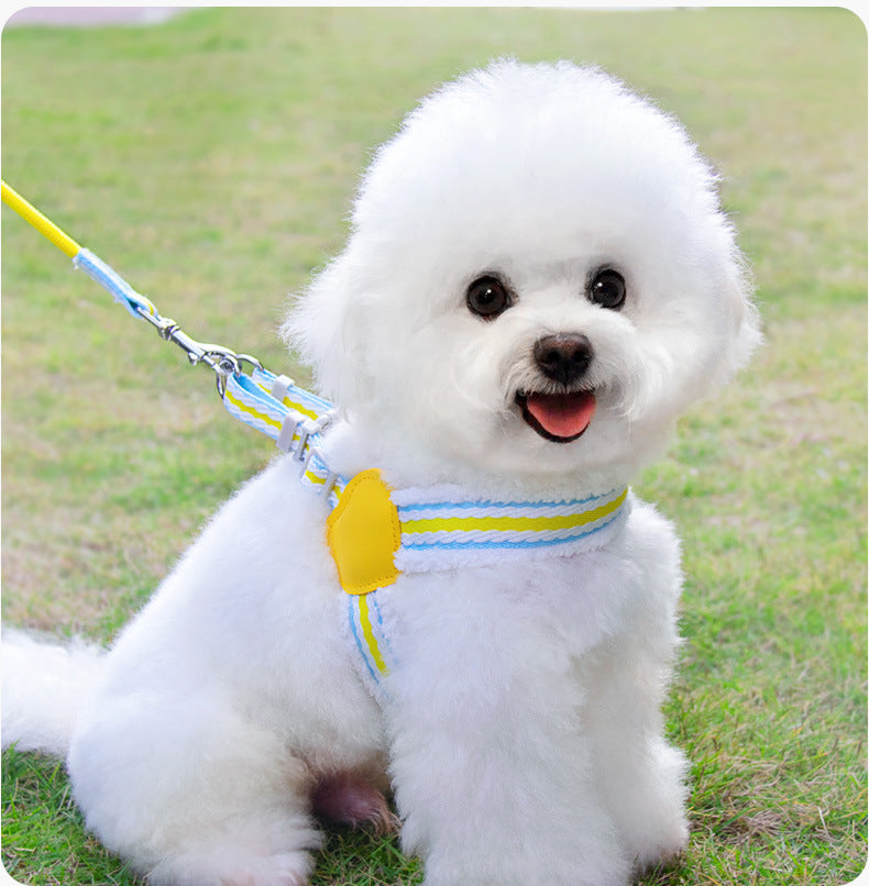 Breathable Summer Dog Leash with Chest Vest Small Medium