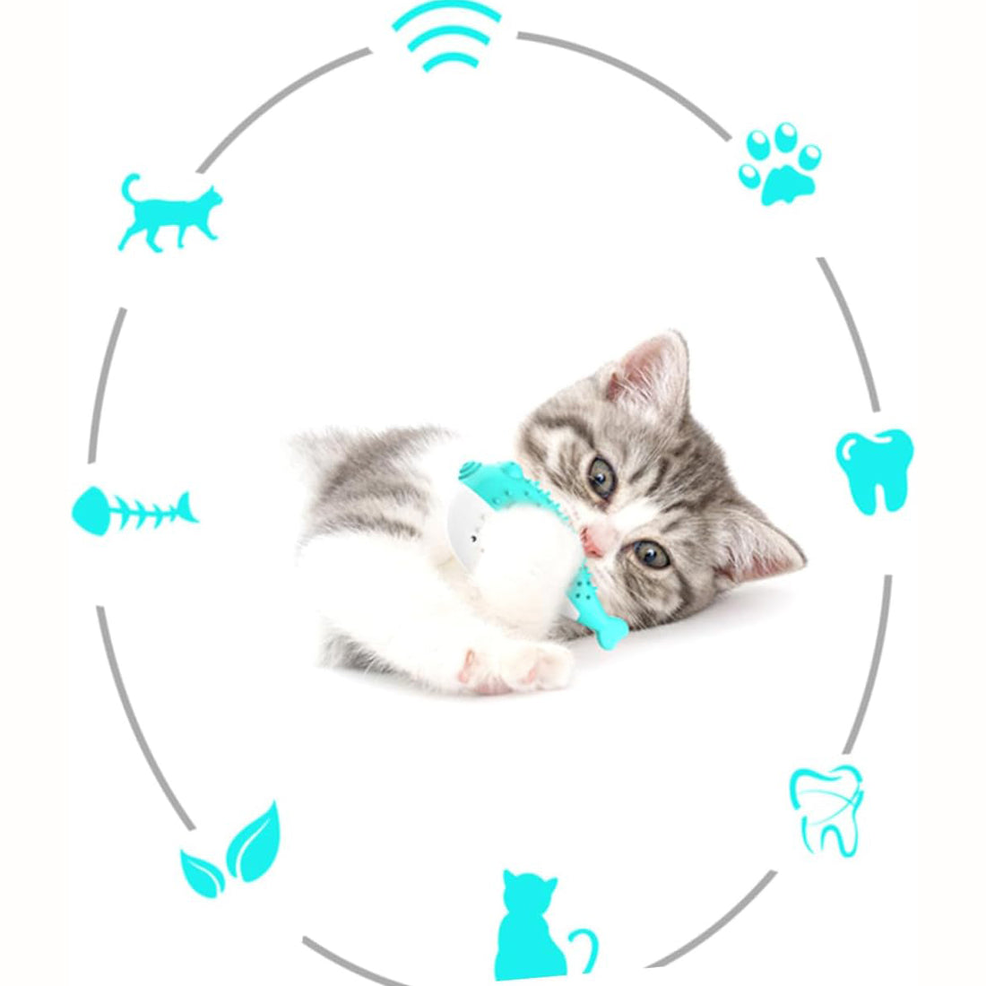 Mint Silicone Cat Chew and Teaser Toy