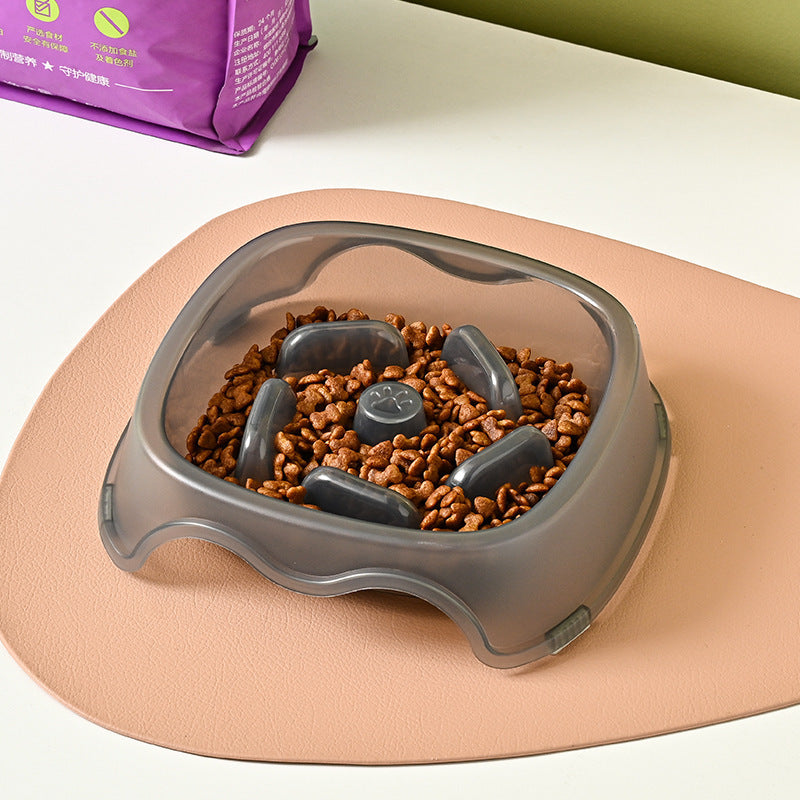 Slow Feed Anti Choke Dog Water and Food Bowl