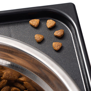 Pet Lifting Feeding Bowl Anti-Tumble Neck Protection for Dogs