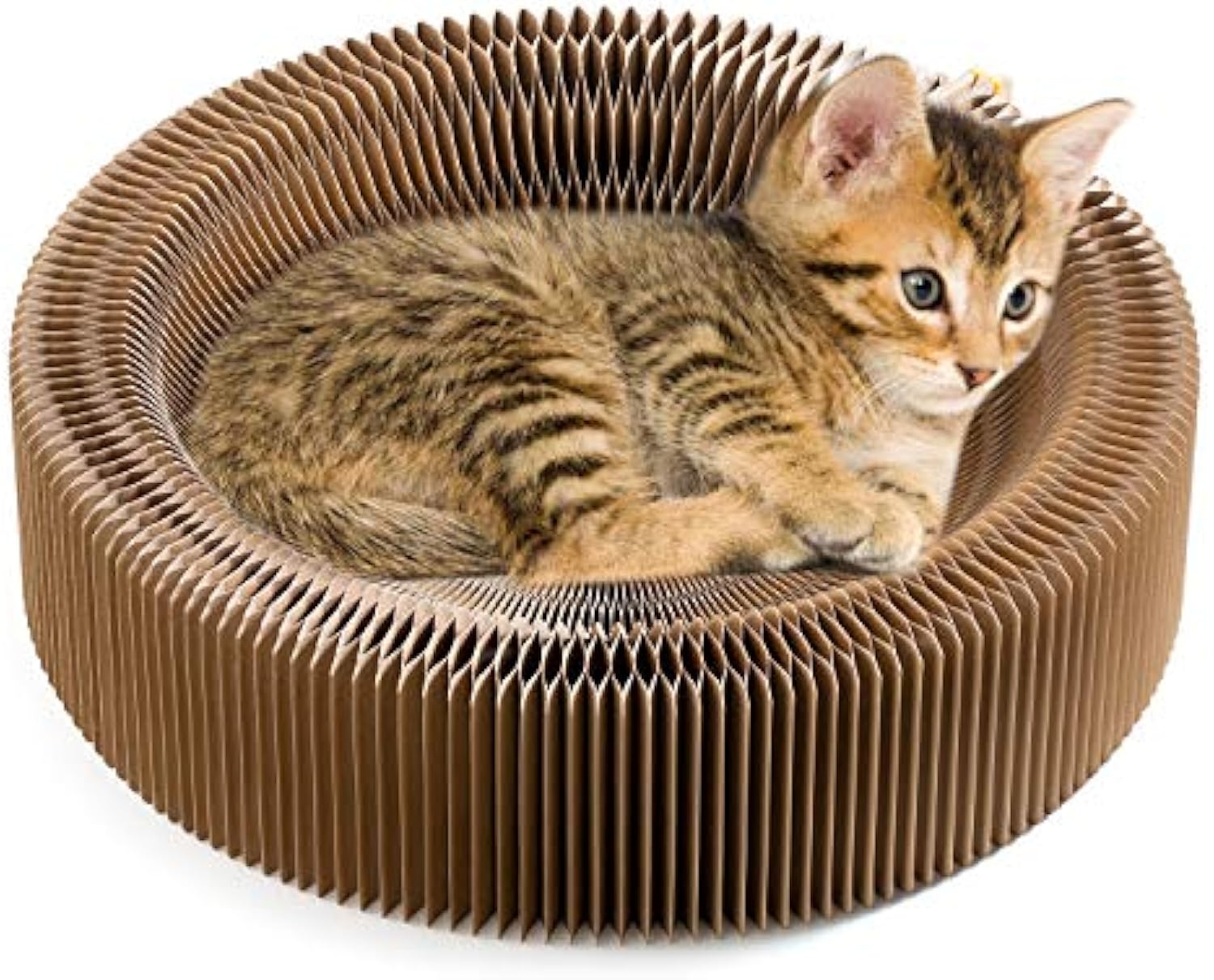 Collapsible Cardboard Cat Scratcher Round Lounge Bed