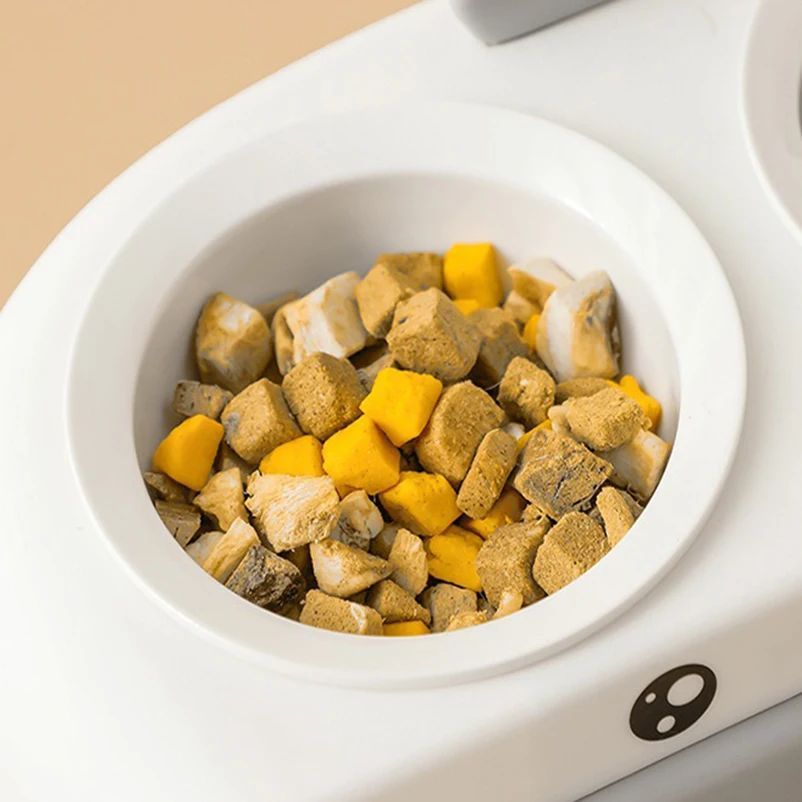 Duck Design Double Pet Bowl Plastic Feeder Tray