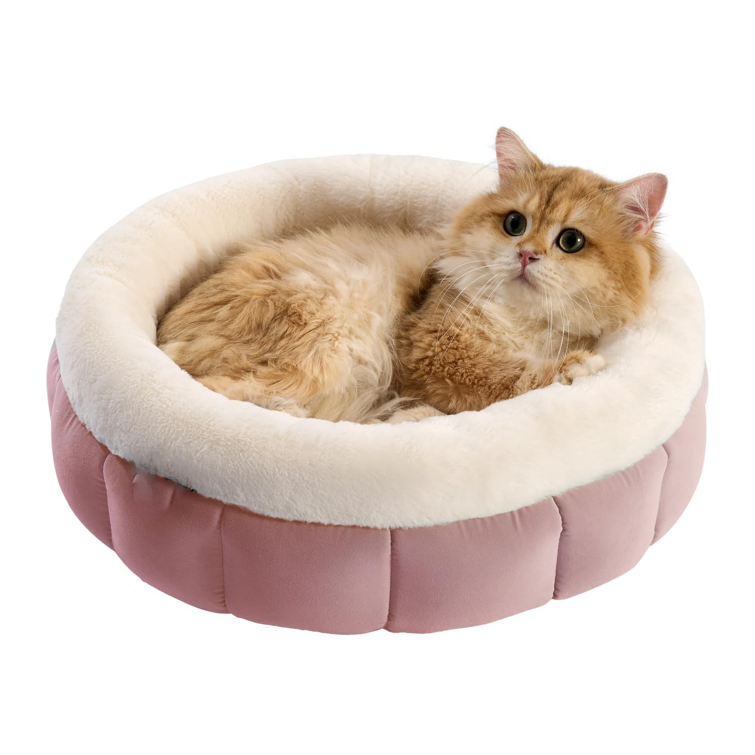 Donut Dog and Cat Bed Small Washable Anti-Slip