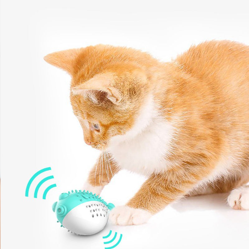 Mint Silicone Cat Chew and Teaser Toy