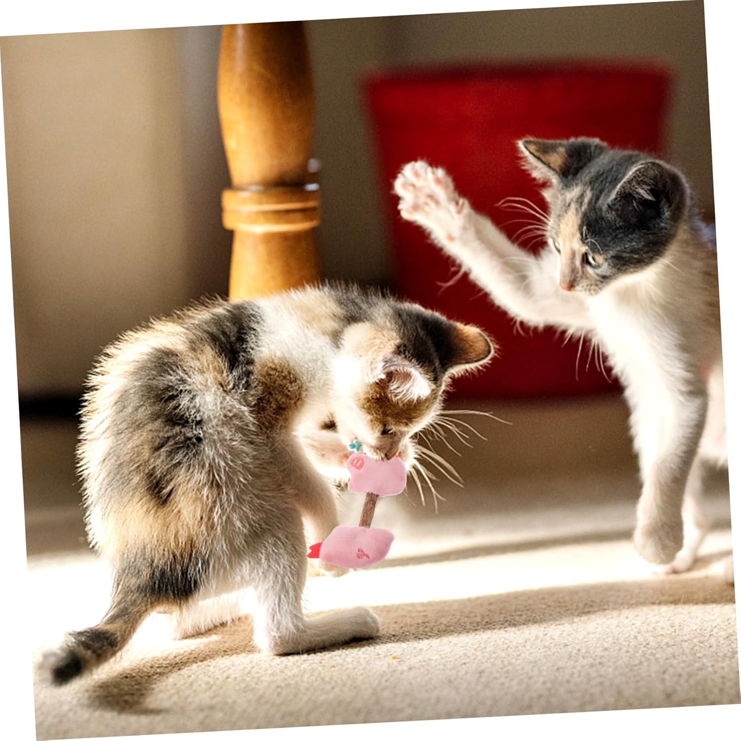 Silvervine Cat Chew Sticks Teeth Cleaning Kitten Toy