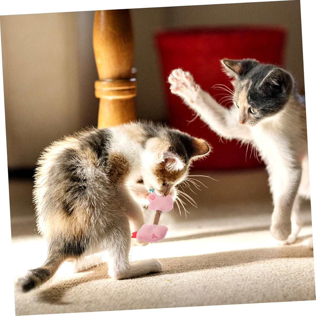Silvervine Cat Chew Sticks Teeth Cleaning Kitten Toy