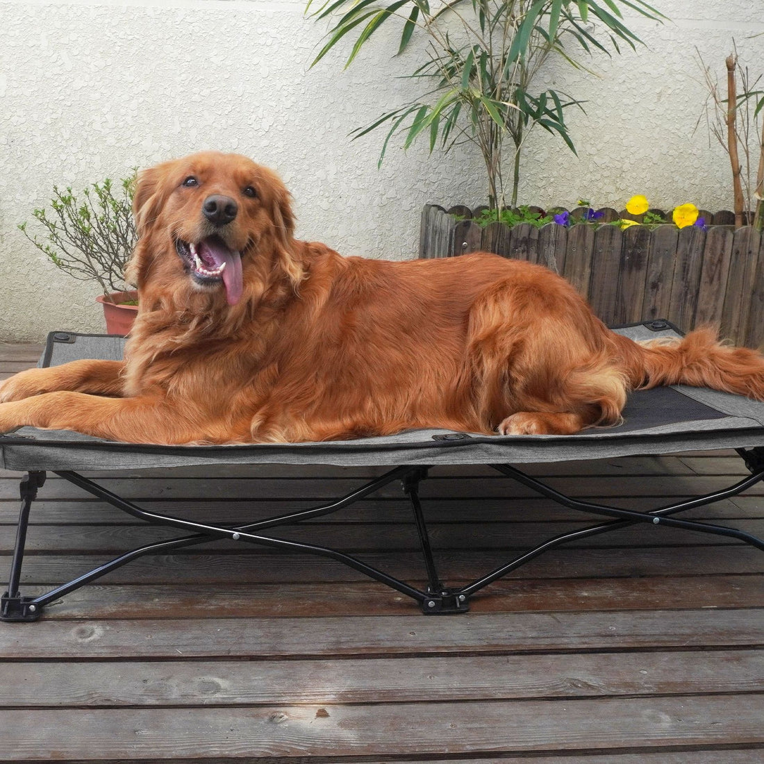Double Layer Foldable Large Pet Bed Mattress