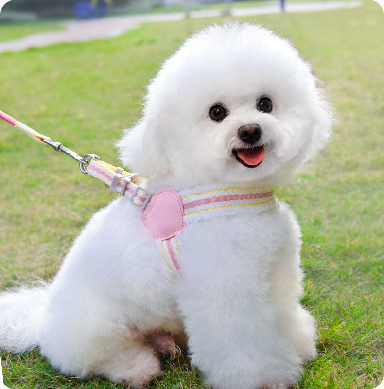 Breathable Summer Dog Leash with Chest Vest Small Medium