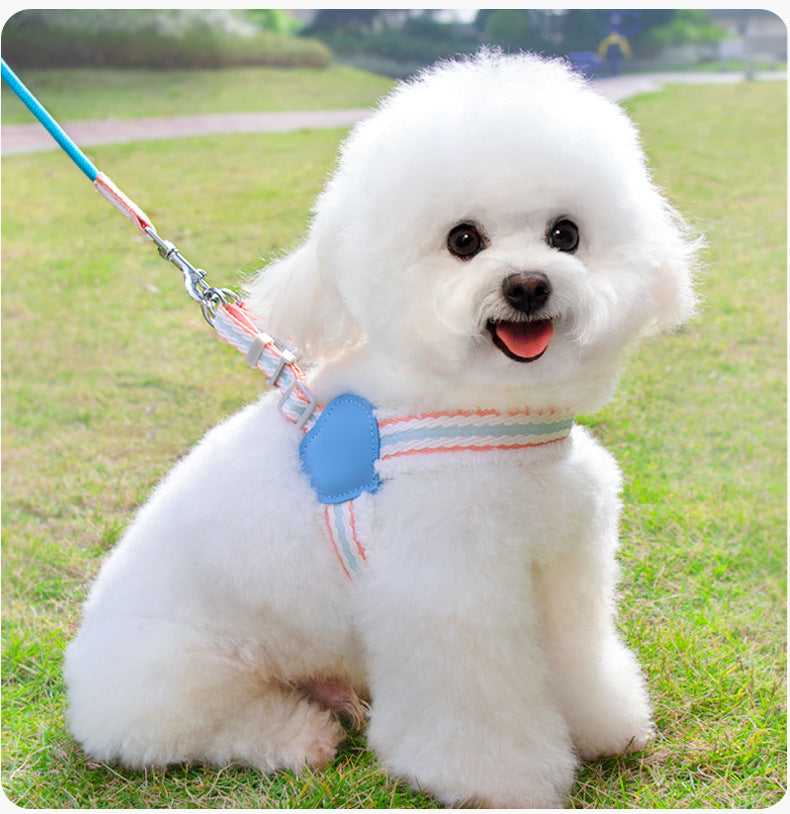 Breathable Summer Dog Leash with Chest Vest Small Medium