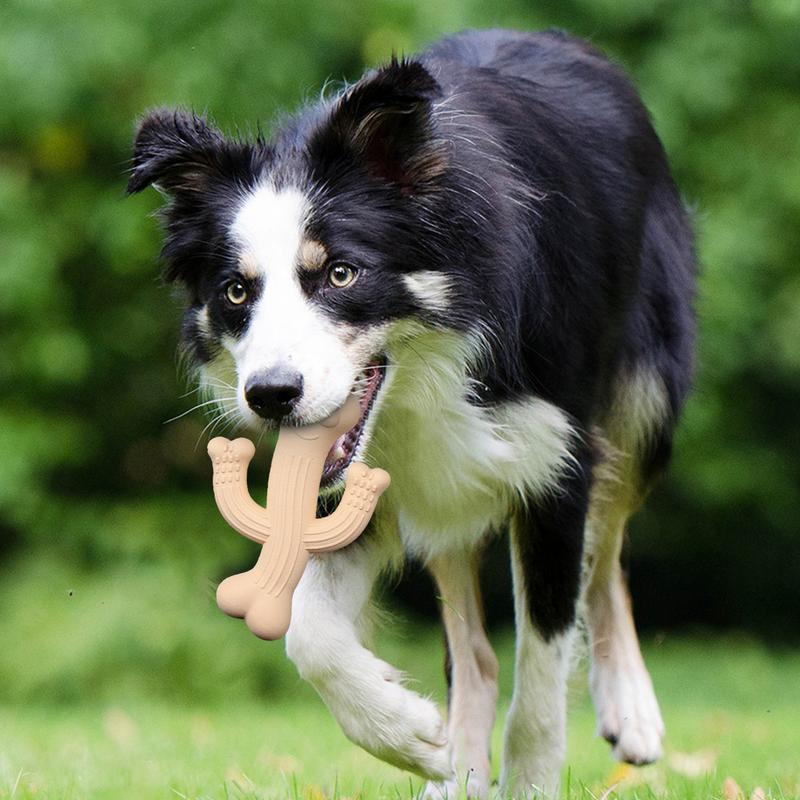 Cactus Chew Toy Durable Interactive Dog Toy