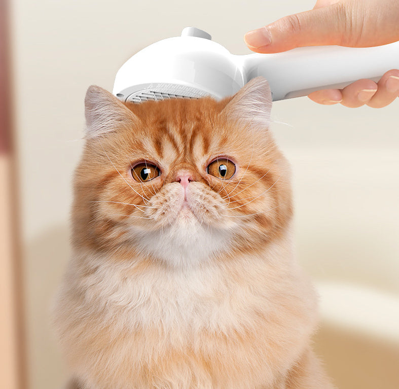 Self-Cleaning Pet Hair Remover Comb with Humidifier