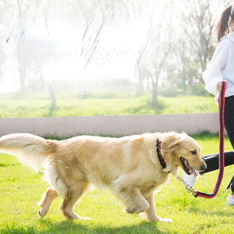 Heavy Duty Nylon Braided Training Leash With Collar Cover