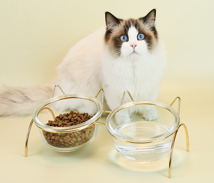 Glass Cat Bowl With Metal Rack 2-in-1 Feeder