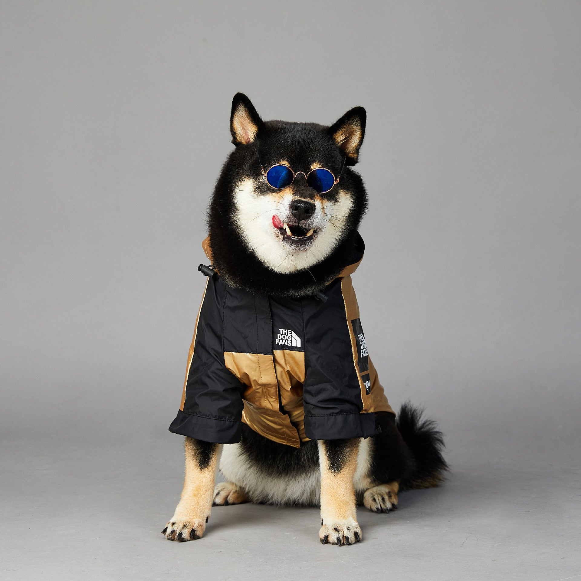 Large Pet Raincoat Waterproof Jacket