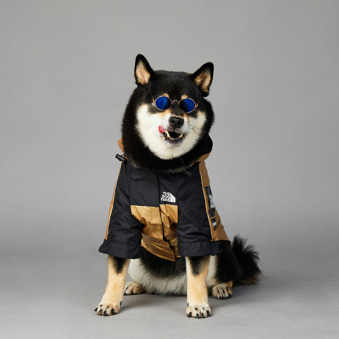 Large Pet Raincoat Waterproof Jacket