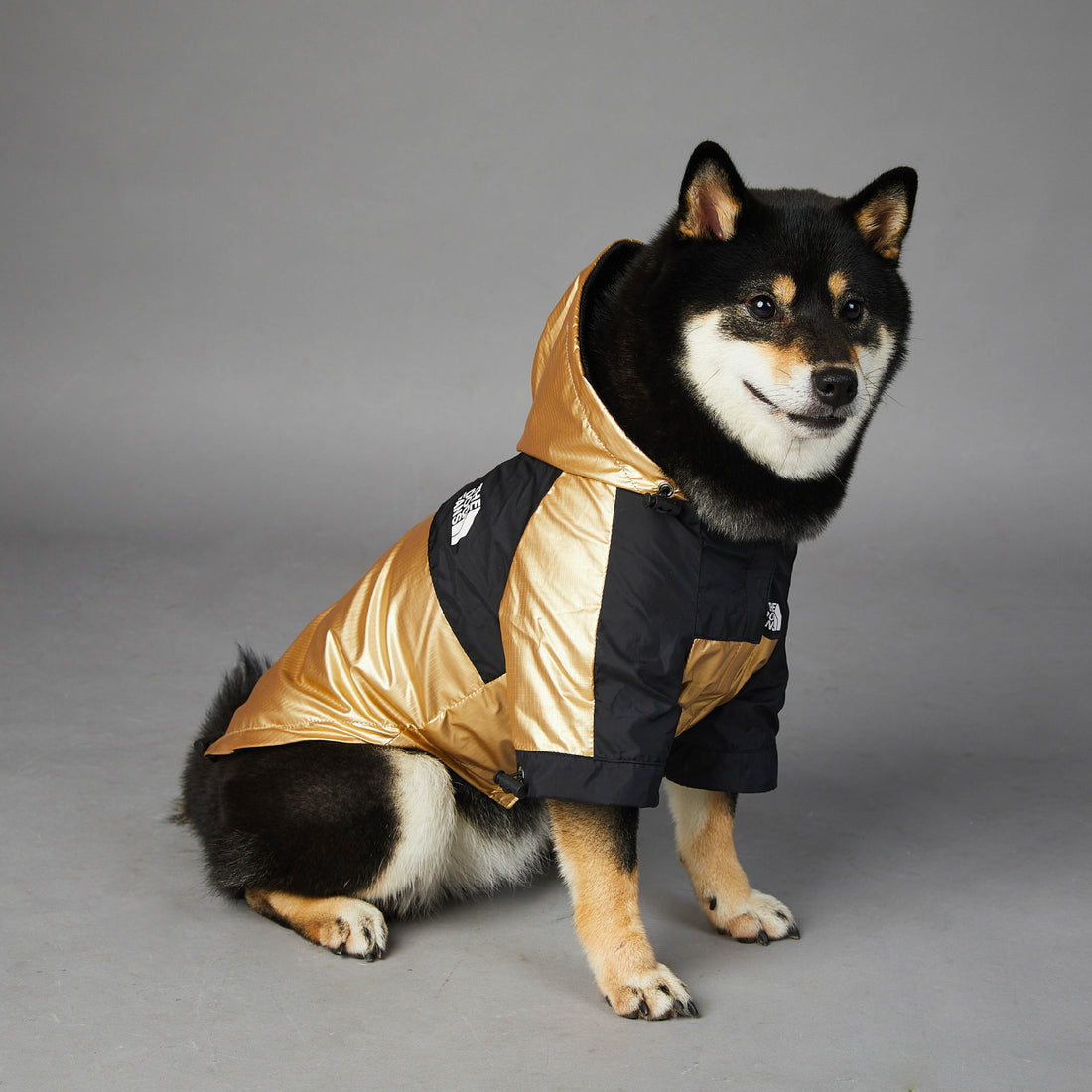 Large Pet Raincoat Waterproof Jacket