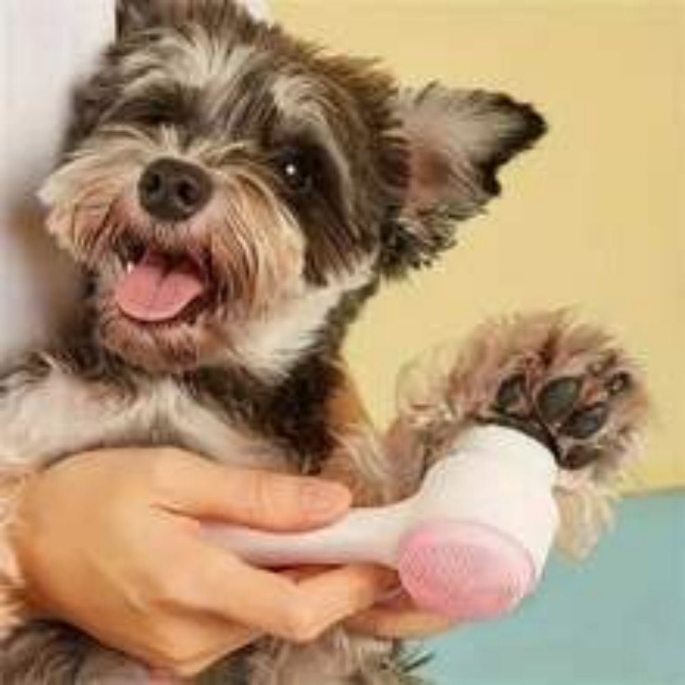 Easy-Clean Nylon Paw Brush Gentle Grooming for Pets